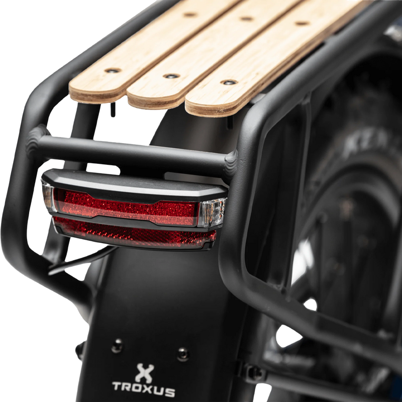 Lynx Plus, Troxus Lynx Plus back light