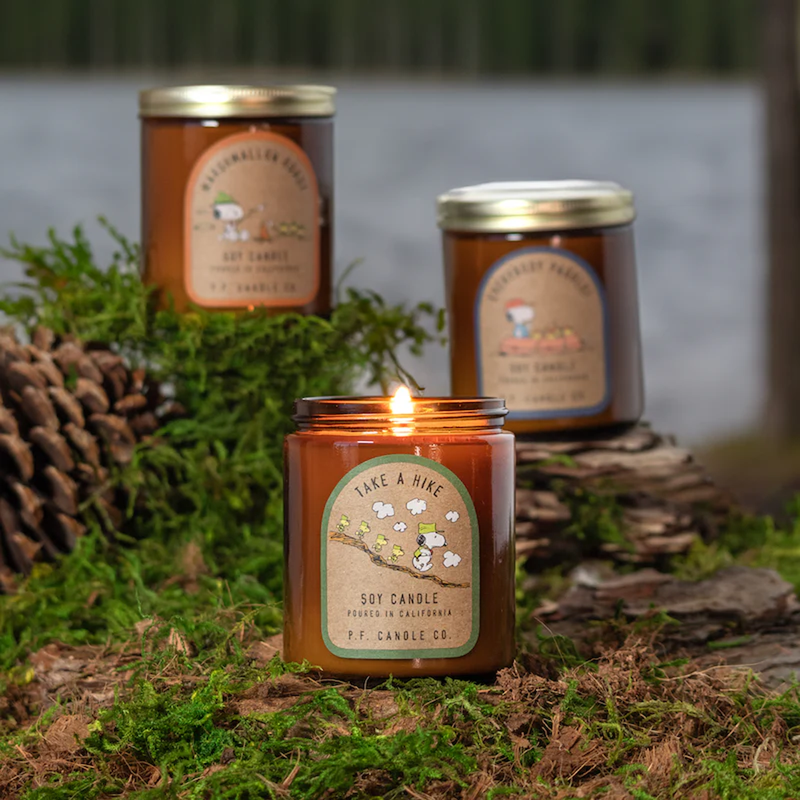 Peanut Take a Hike 7.2oz Candle, P.F. Candle Co. Peanut Take a Hike 7.2 oz lit