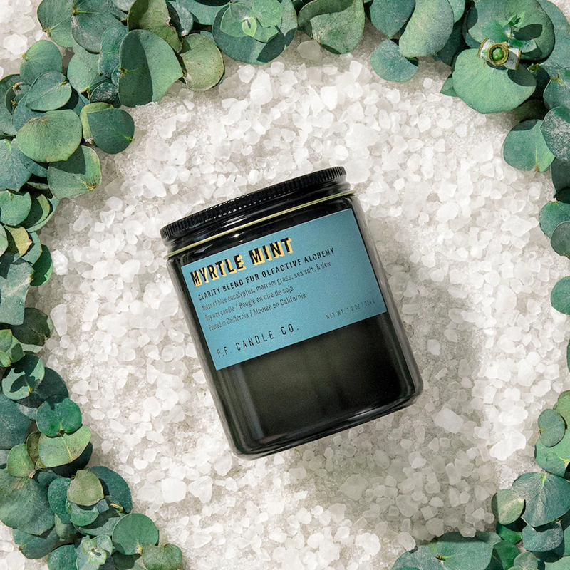 Alchemy Myrtle Mint 7.2oz Candle, P.F. Candle Co. Alchemy Myrtle Mint 7.2 oz decorative