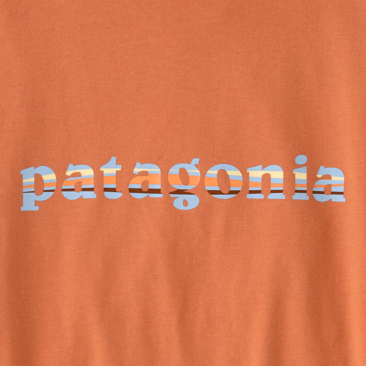 Women's '73 Text Logo Org Ringer Tee alternate view