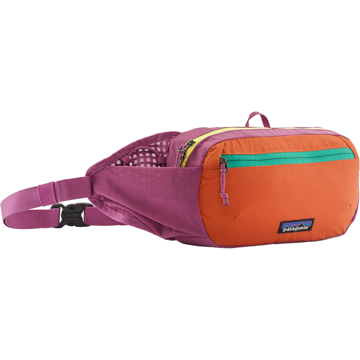 Terravia Hip Pack alternate view