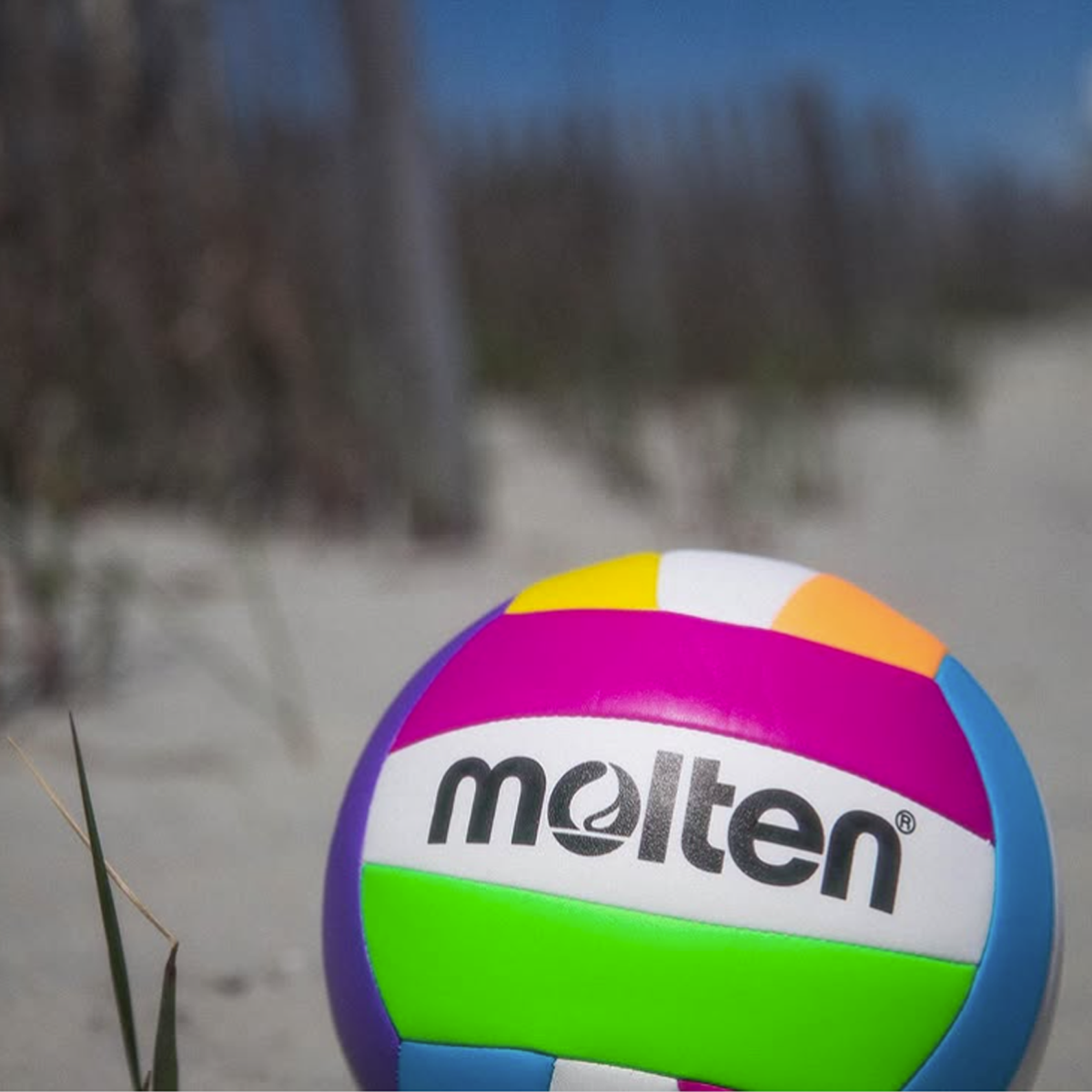 MS500 Recreational Volleyball alternate view