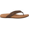 200-Chocolate/Lion