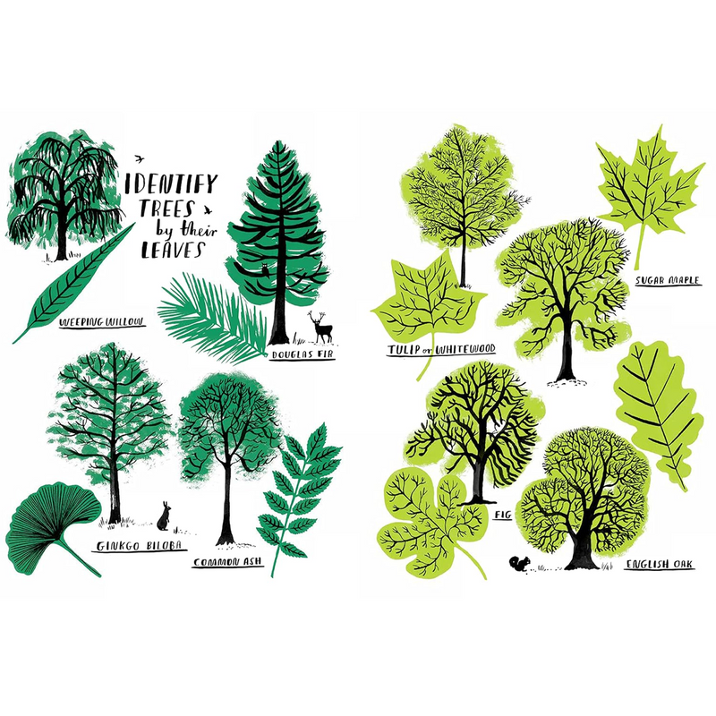 Hello Nature Activity Book, Chronicle Books Hello Nature Activity Book trees