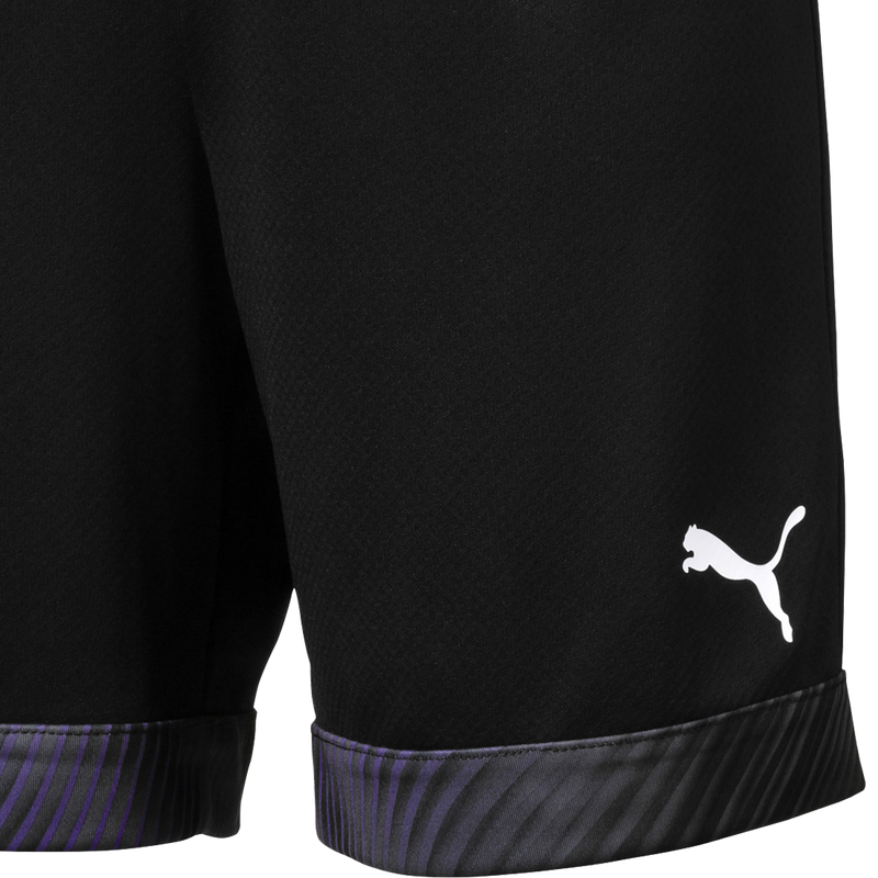 Youth Cup Shorts, Puma Youth Cup Shorts logo