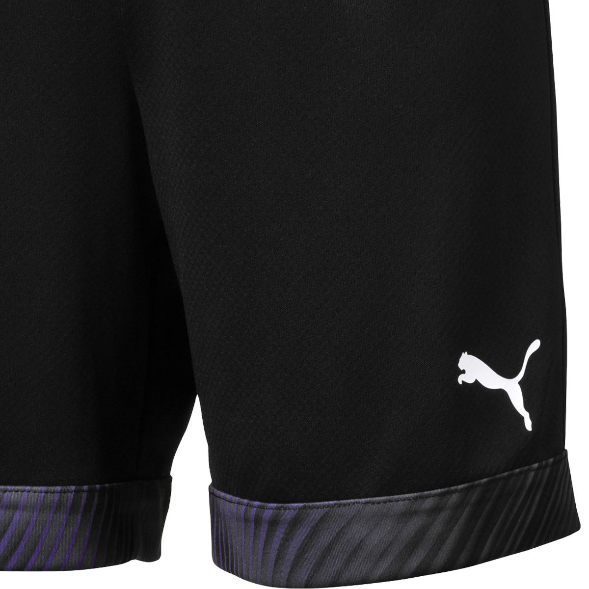 Youth Cup Shorts alternate view