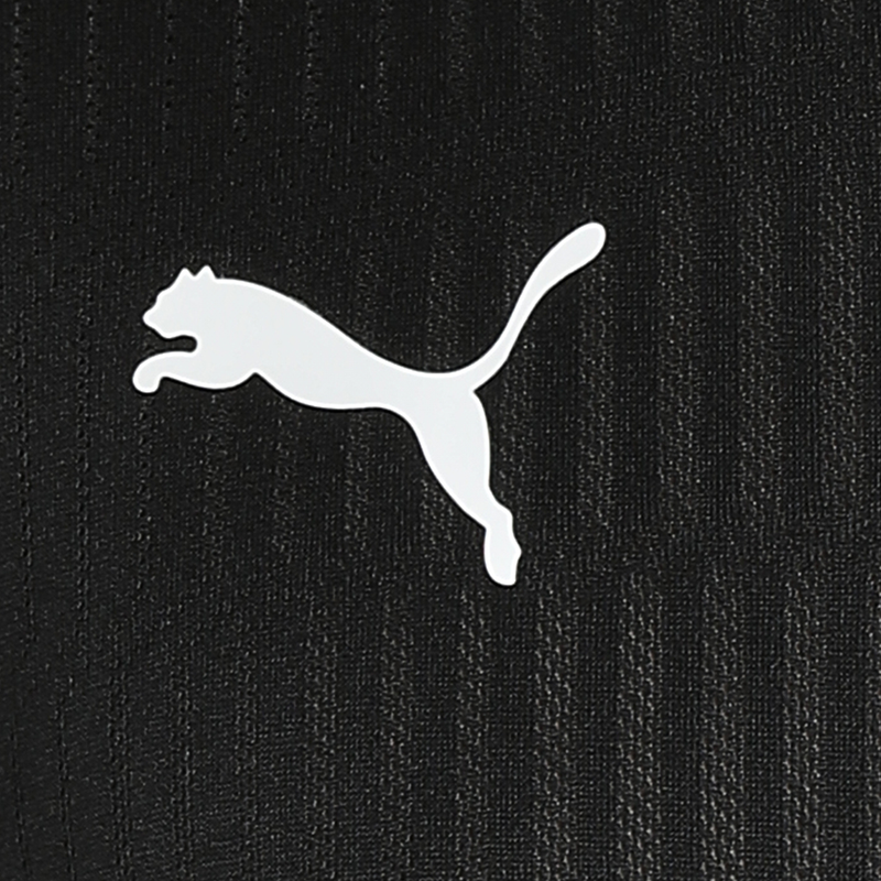 Men's TeamCup Jersey, Puma Men's TeamCup Jersey logo