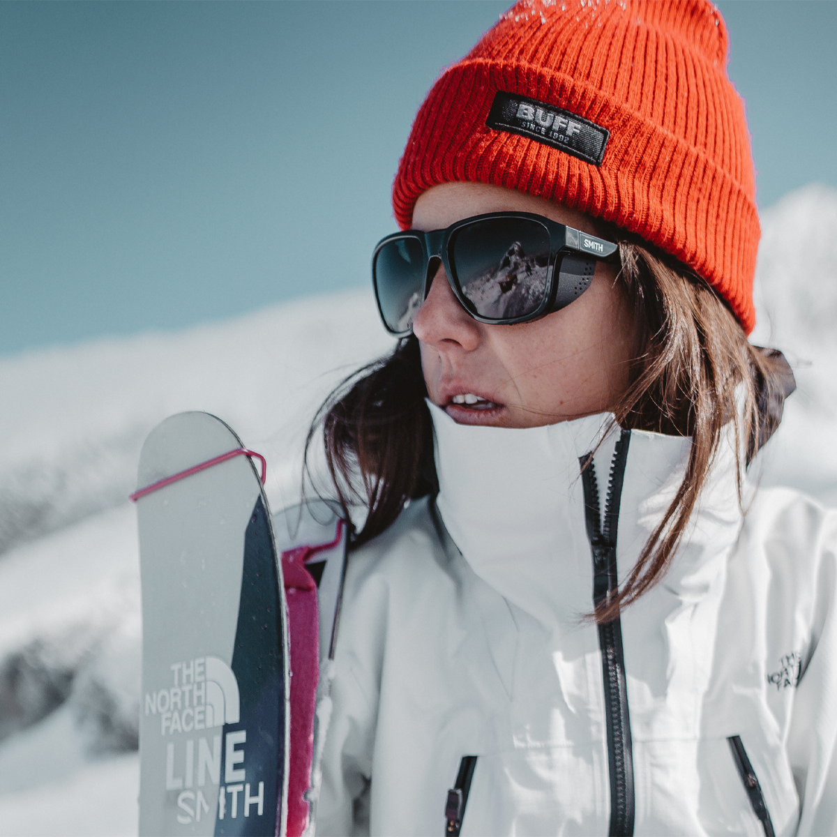 Embark alternate view