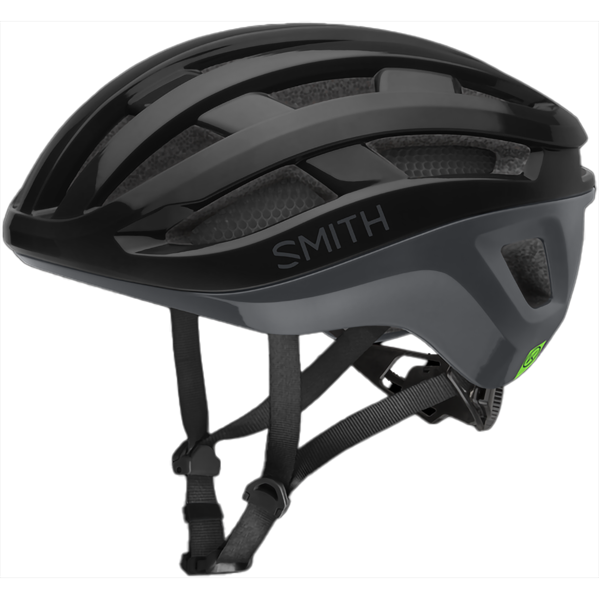 Persist MIPS alternate view