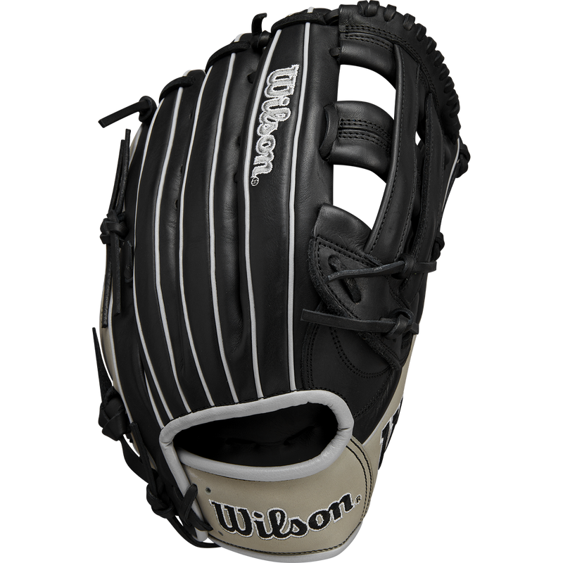 A1000 1750 Outfield - 12.5" Dual Post Web, Featured Image