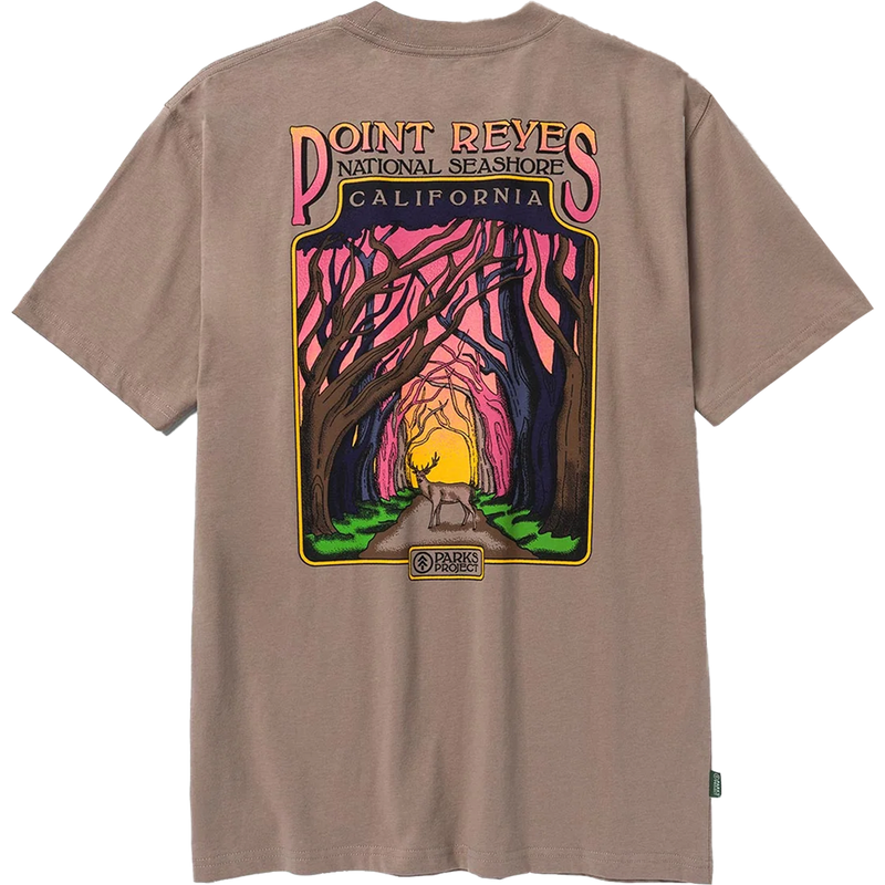 Point Reyes Cypress Portal Tee, Featured Image