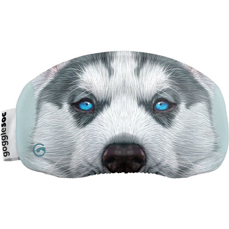 Husky Pro Soc, Featured Image
