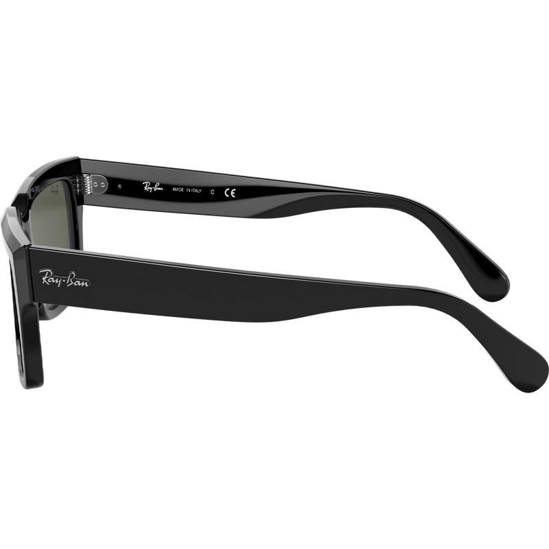 Inverness - Polished Black/G-15 Green, Ray Ban Inverness Side