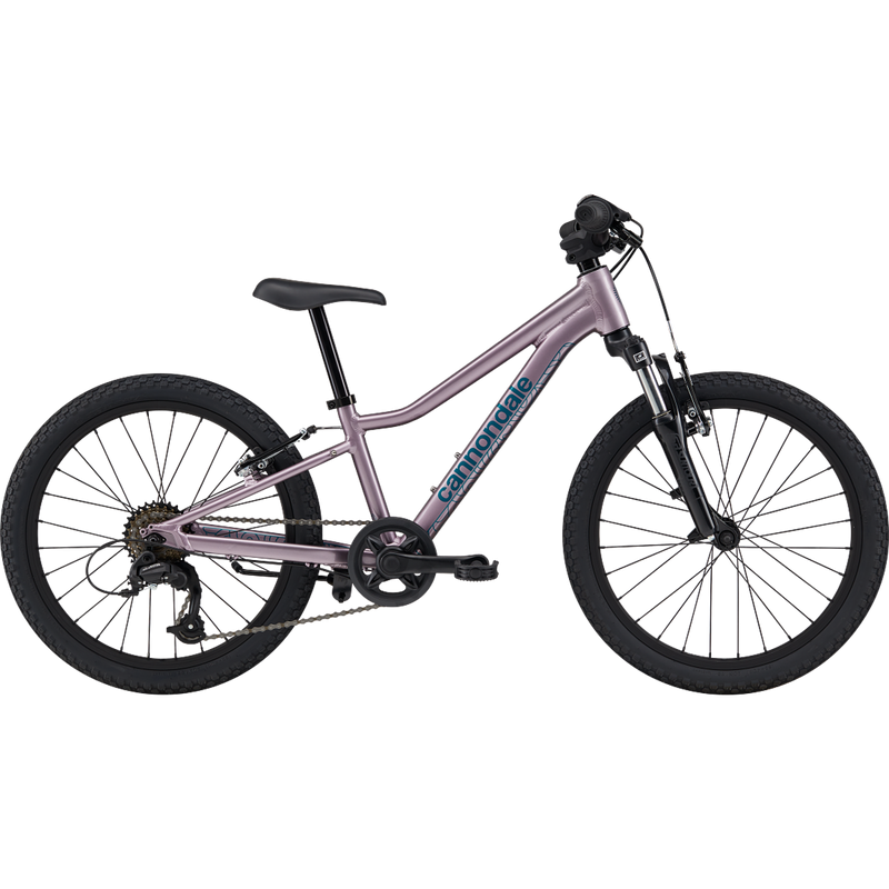 Youth Trail 20", Featured Image