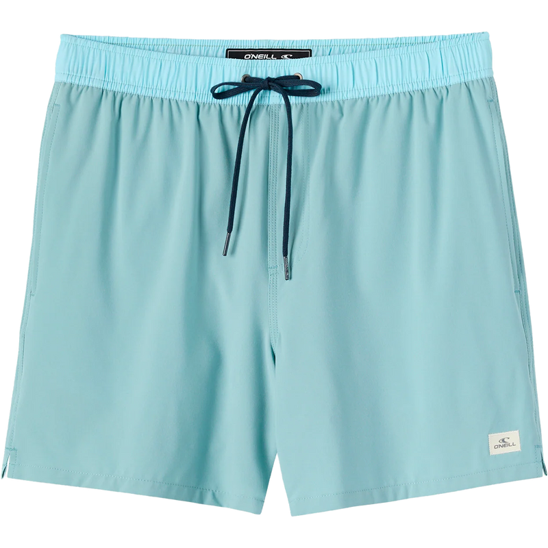 Men's Hermosa Lined Volley 15", Featured Image