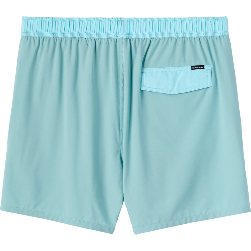 Men's Hermosa Lined Volley 15", O'Neill Men's Hermosa Lined Volley 15"  Back
