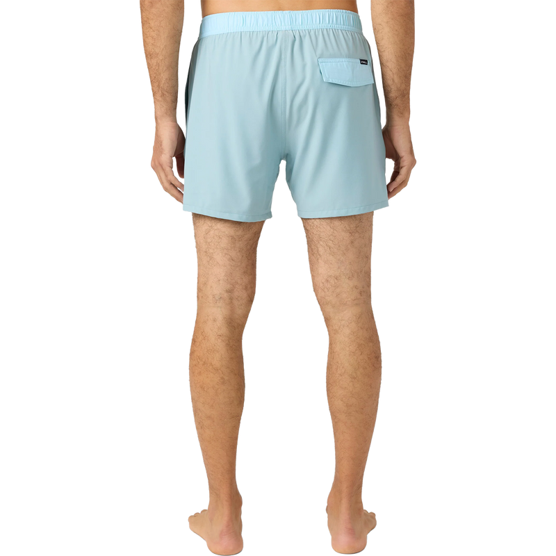 Men's Hermosa Lined Volley 15", O'Neill Men's Hermosa Lined Volley 15" Back on Model