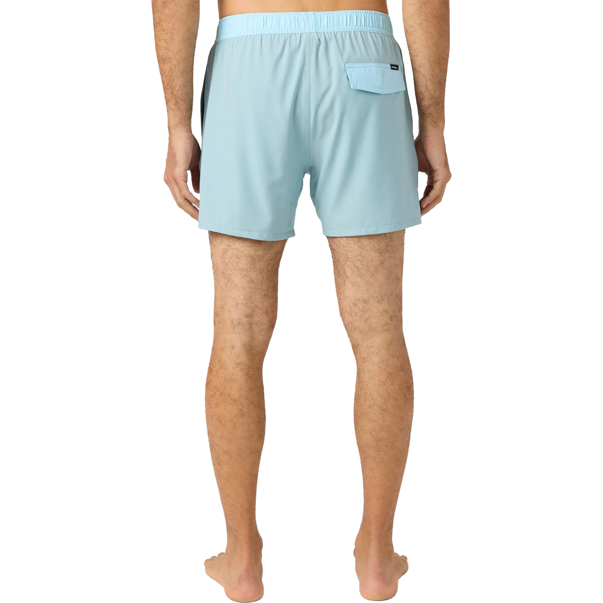 Men's Hermosa Lined Volley 15