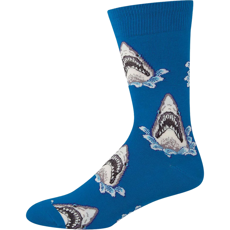 Shark Attack, Featured Image