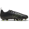 02-Puma Black/Fizzy Light/Green Terrain