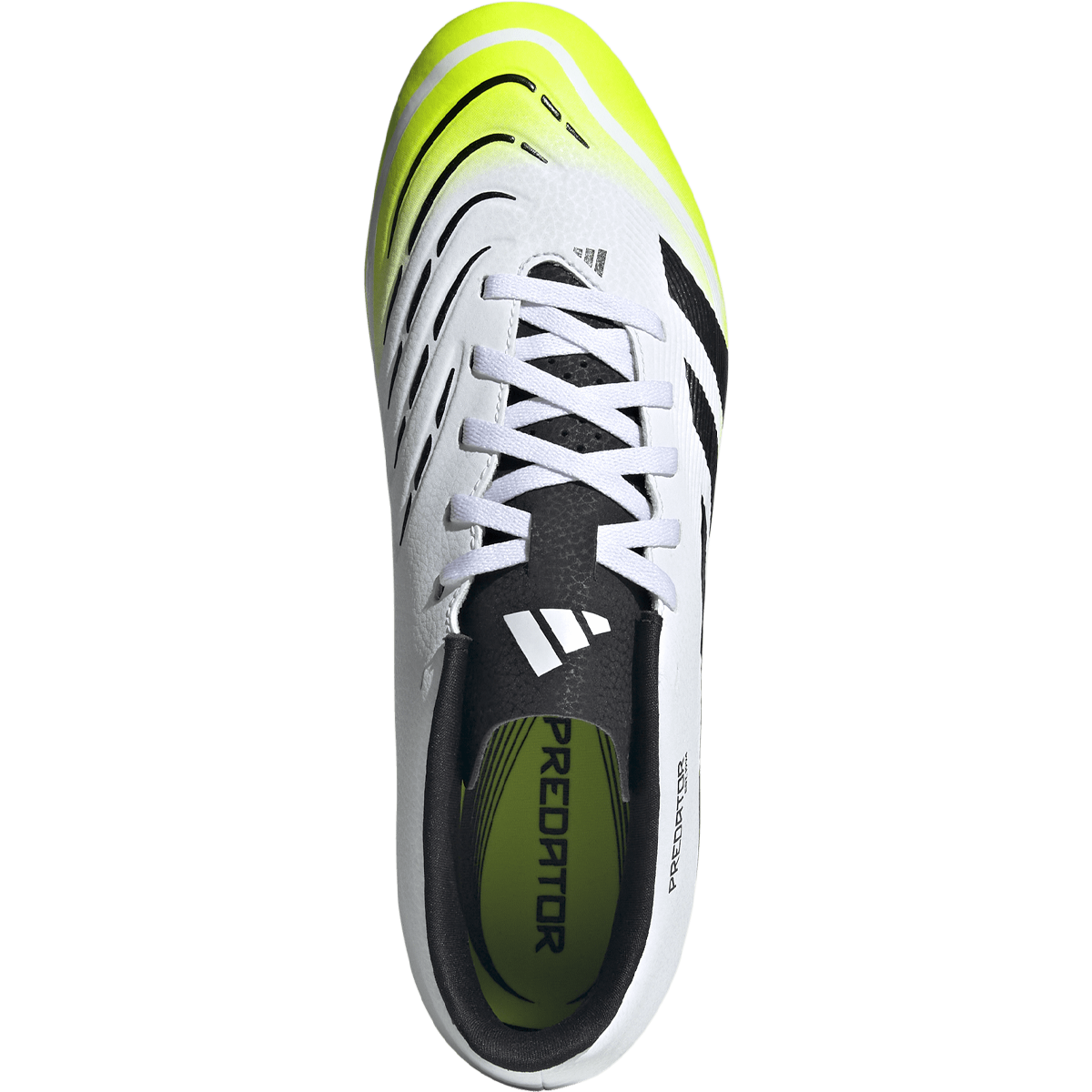 Predator Club FG/MG Sports Basement Predator Club FG/MG Sports Basement