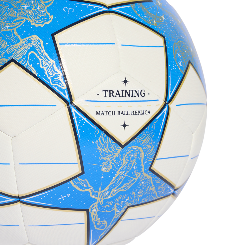 UCL Training Ball, Adidas UCL Training Ball Back