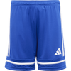 Team Royal Blue/Team Royal Blue/White