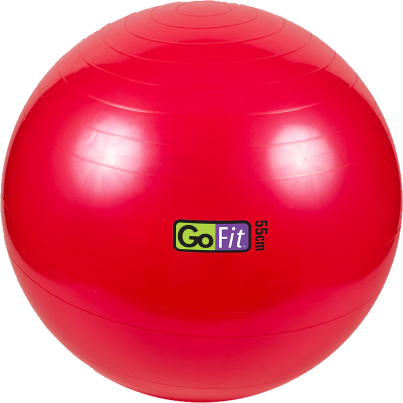 Stability Ball - 55 cm, Featured Image