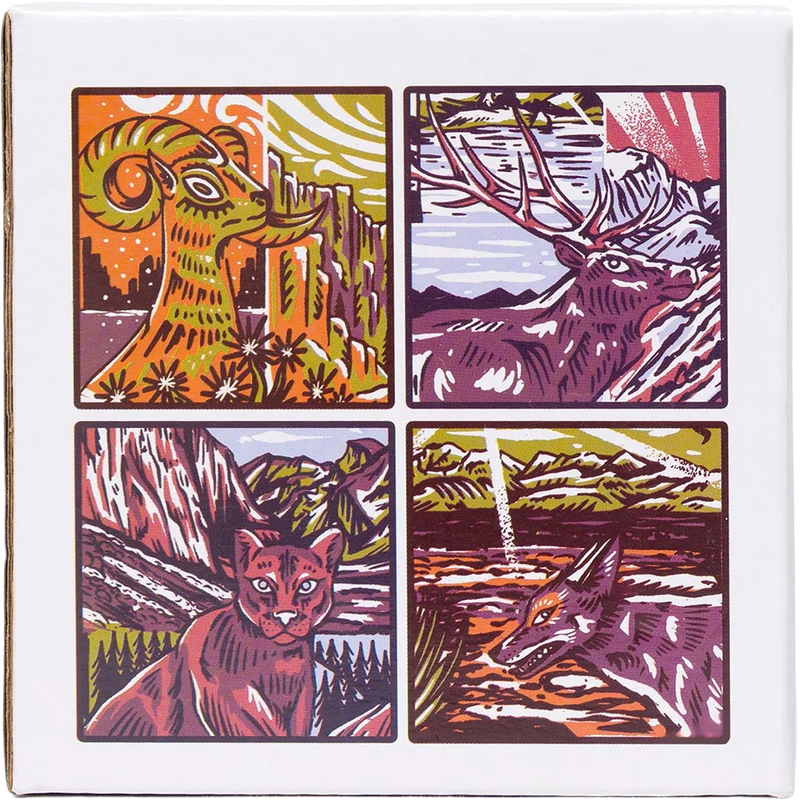 National Park Naturalist Coaster Set, Parks Project National Park Naturalist Coaster Set box