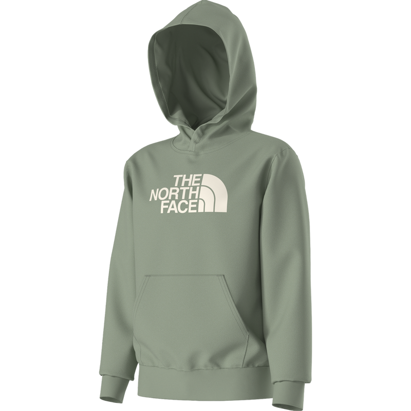 The North Face Youth Evolution Half Dome Pullover Hoodie in Slate Moss