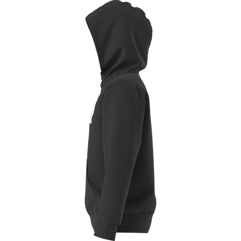 Youth Evolution Half Dome Pullover Hoodie, The North Face Youth Evolution Half Dome Pullover Hoodie Side