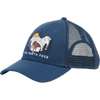 OF5-Shady Blue/Bear Graphic
