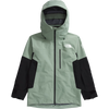 D5N-Slate Moss/TNF Black