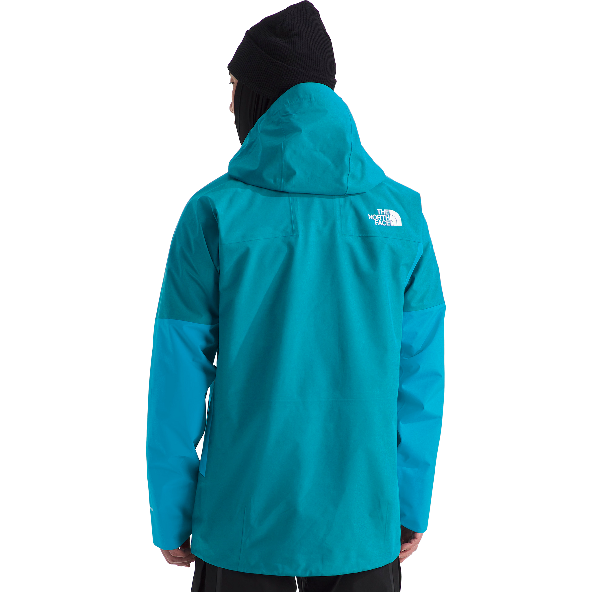 Men's Summit Eastwall GTX Jacket alternate view