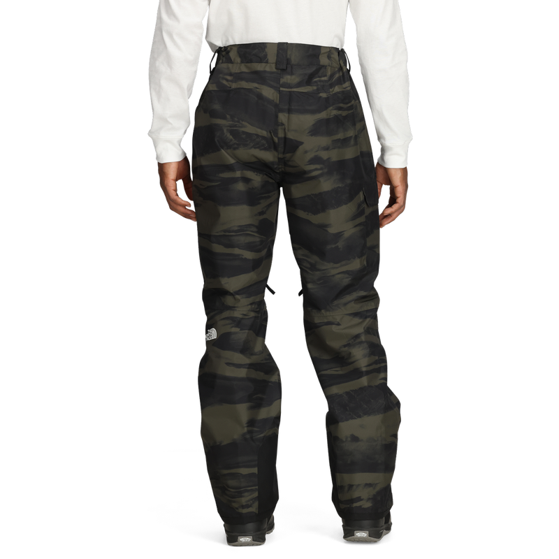 Men's Freedom Pant, The North Face Men's Freedom Pant Back
