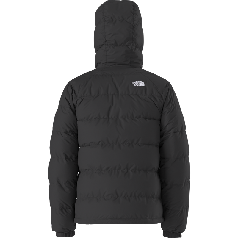 Men's Hydrenalite Down Hoodie, The North Face Men's Hydrenalite Down Hoodie Back