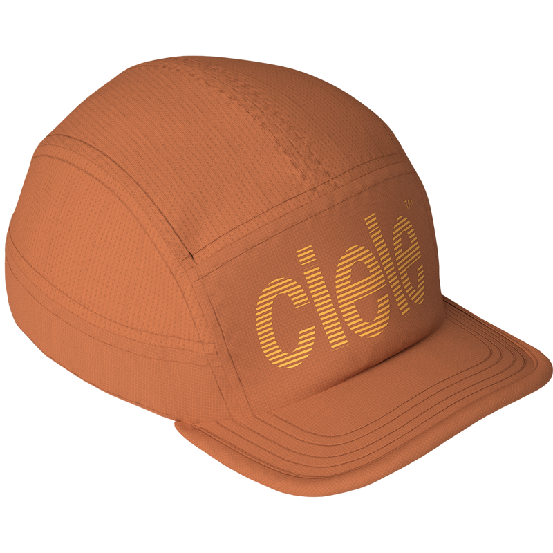ALZCap SC - Standard Stripes, Featured Image