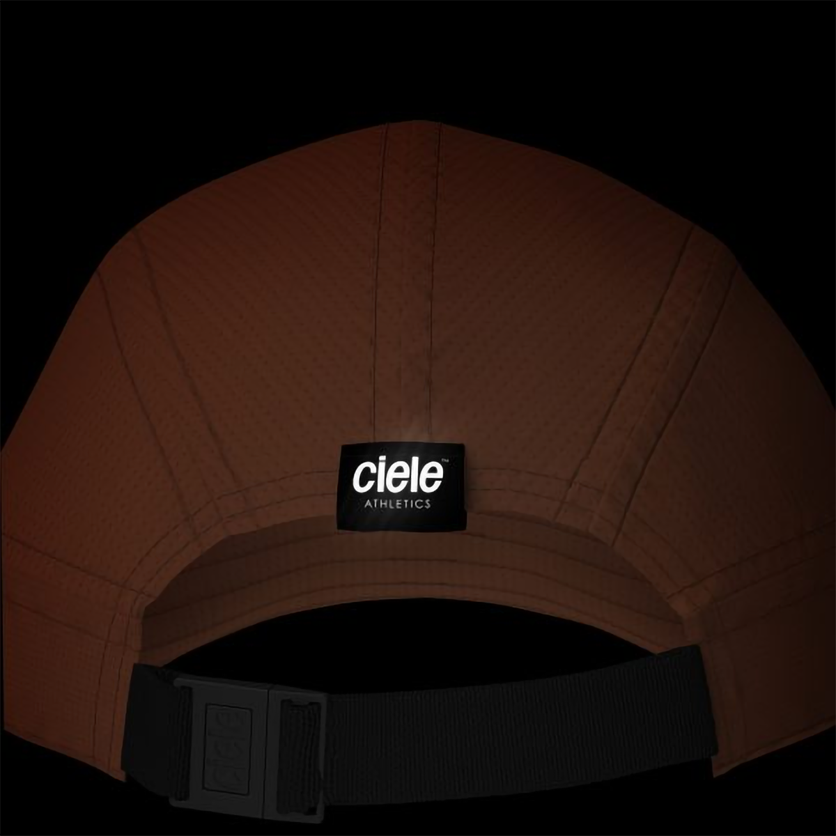 ALZCap SC - Standard Stripes alternate view