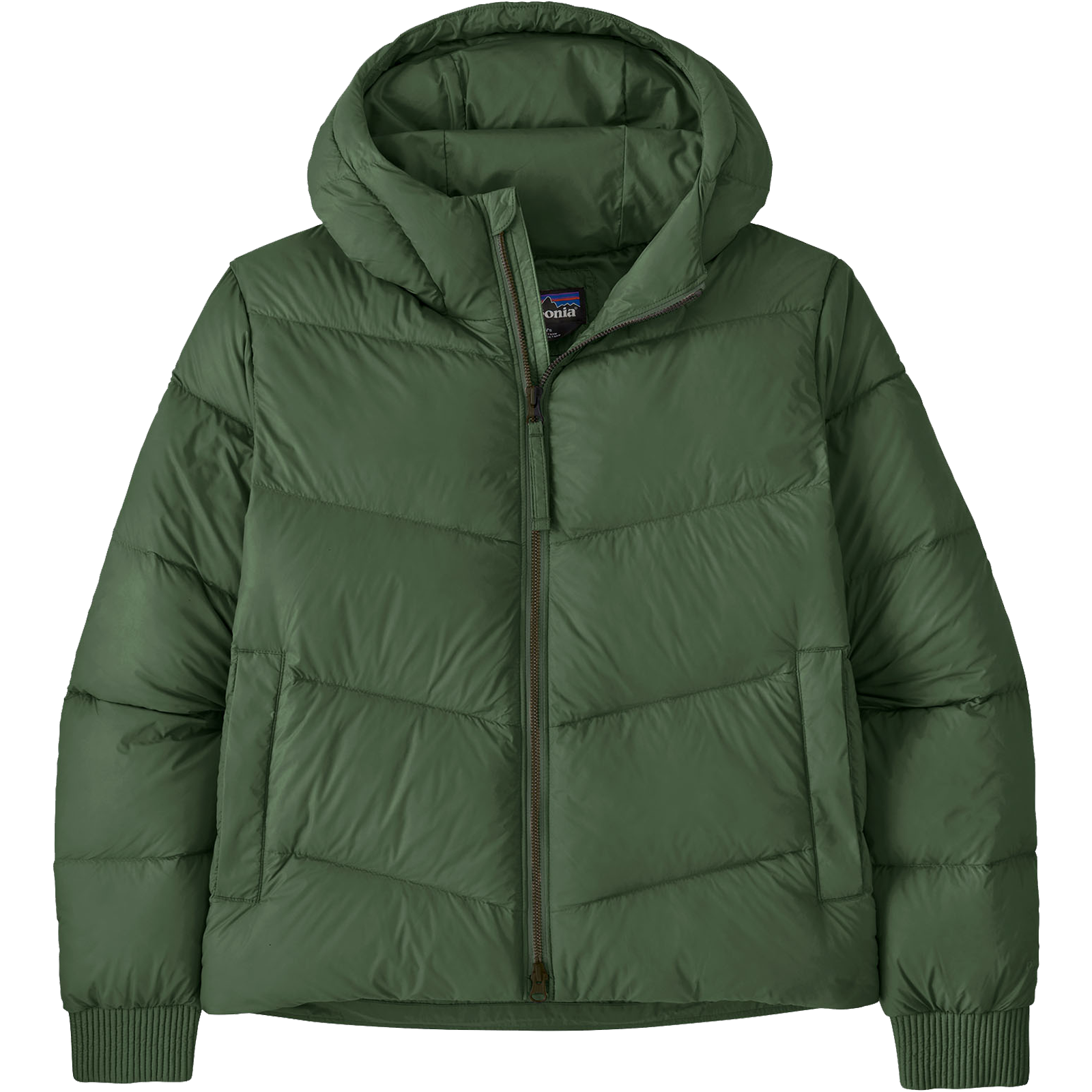 Patagonia Women's Sindit Down Hoody in CNGR-Canopy Green