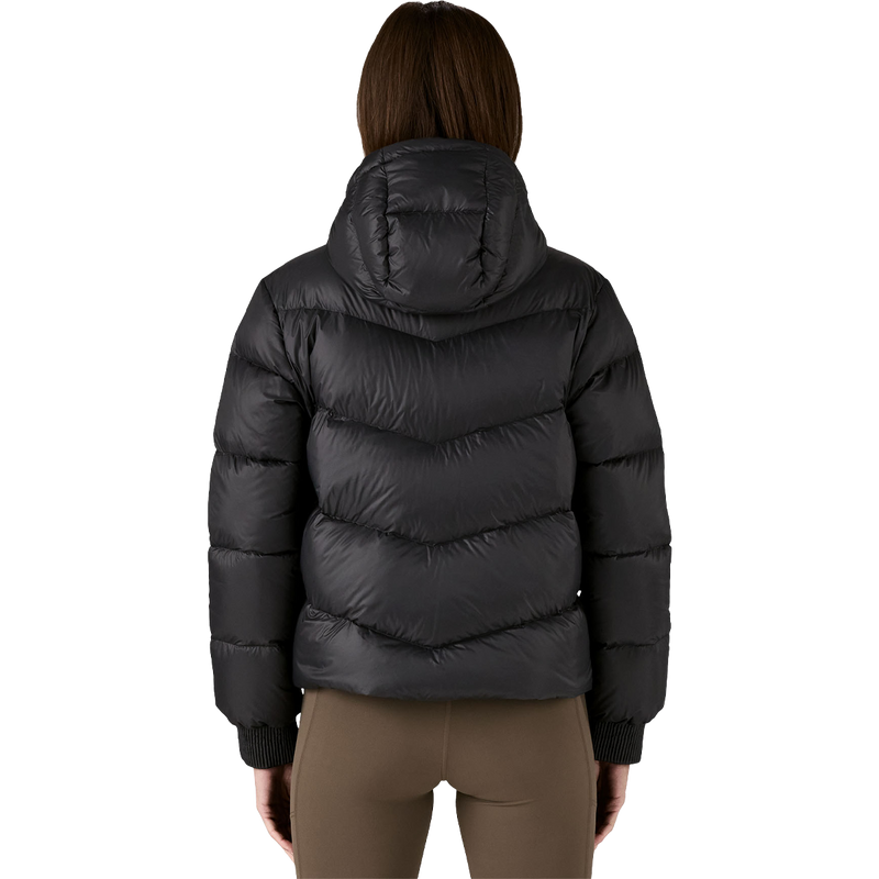 Women's Sindit Down Hoody, Patagonia Women's Sindit Down Hoody Back