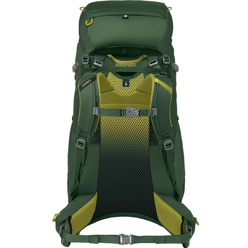 Youth Ace 50, Osprey Youth Ace 50 in Green Canopy/Matcha Green back harness