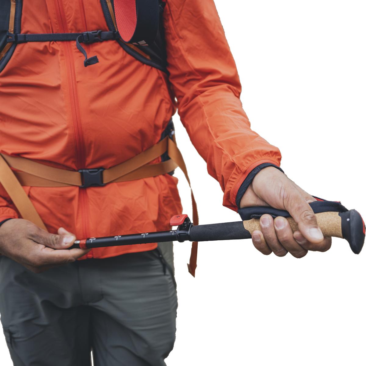 Pursuit FLZ Trekking Poles alternate view