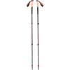 Fig