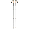 Laurel Green