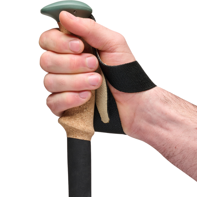 Trail Cork Trekking Poles, Black Diamond Trail Cork Trekking Poles grip