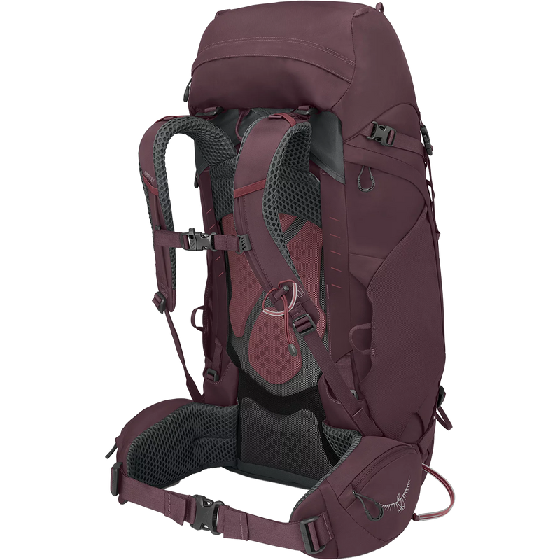 Women's Kyte 48, Osprey Kyte 48 in Elderberry Purple harness and waistbelt