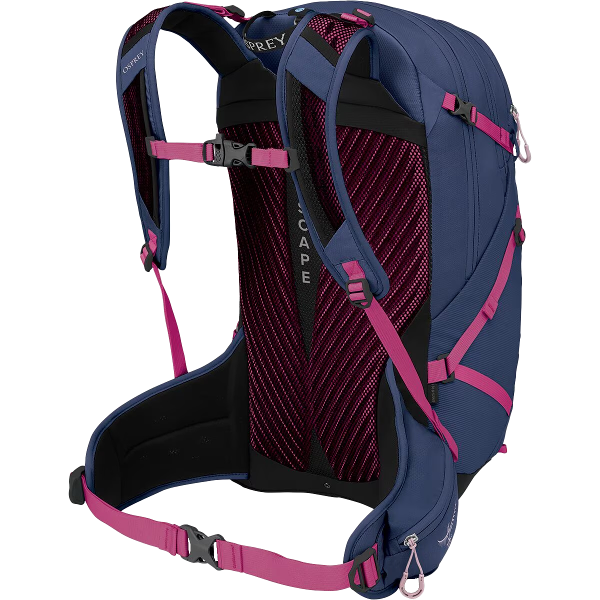 osprey daylite ii eggplant purple Sportlite 25 – Sports Basement