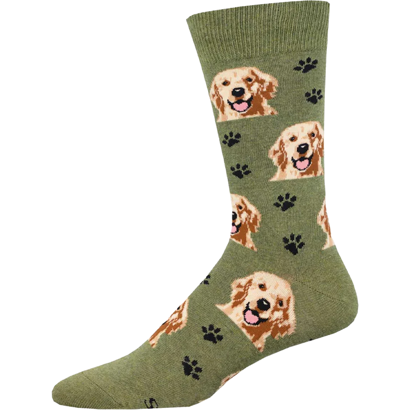 Who's A Good Boy, Featured Image