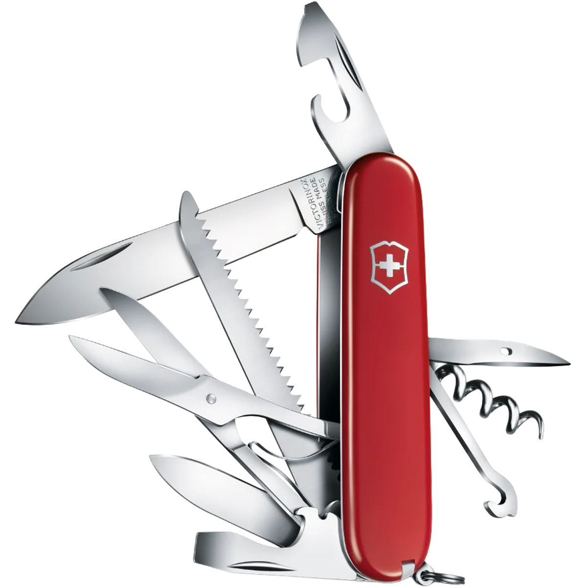 Huntsman alternate view