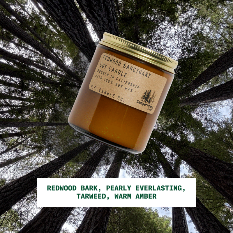 Redwood Sempervirens Fund 7.2oz, P.F. Candle Co. Redwood Sempervirens Fund 7.2oz scent